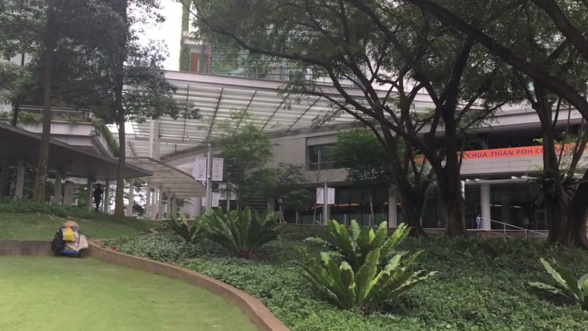新加坡国立大学学院设置