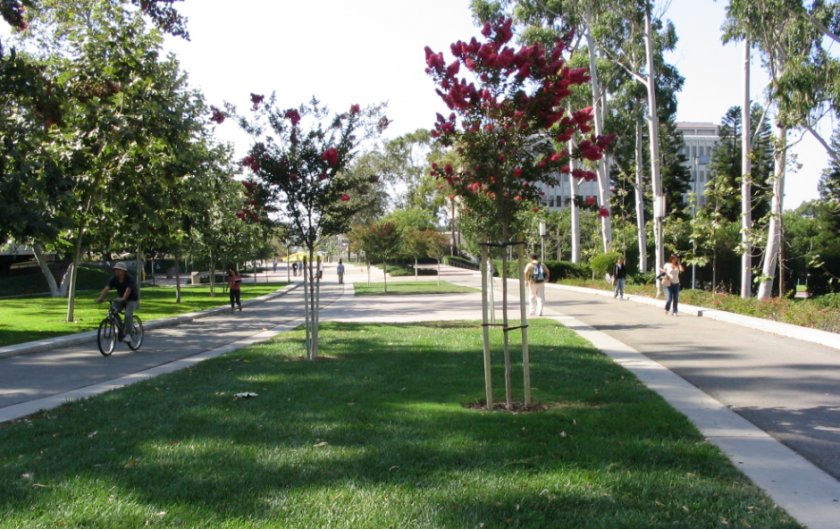 加州大学尔湾分校学院设置